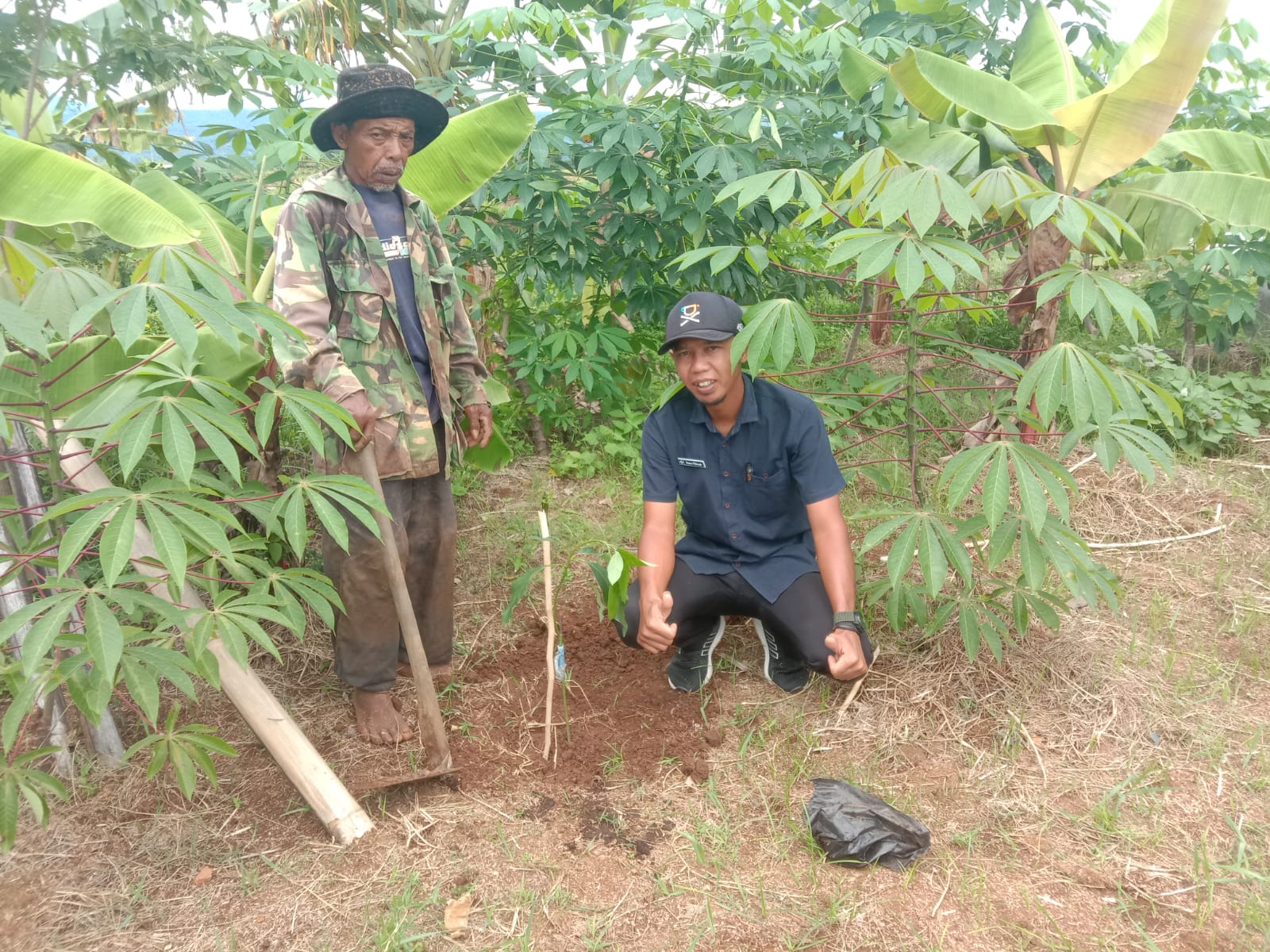 Informasi Penanaman Pohon Sistem Informasi Pemantauan Penanaman Dan